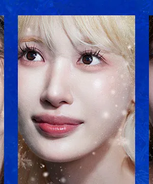 홍금비
